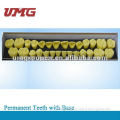 China dental instrument dental implant model
